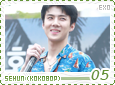 exo-kokobopsehun05