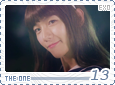 exo-theone13