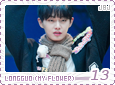 jbj-myflowerlongguo13