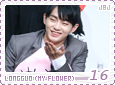 jbj-myflowerlongguo16