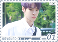 nct-cherrybombdoyoung01