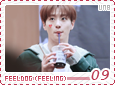 unb-feelingfeeldog09