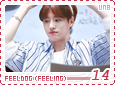 unb-feelingfeeldog14