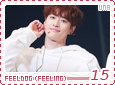 unb-feelingfeeldog15